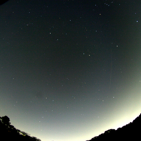 東京でのしし座流星群