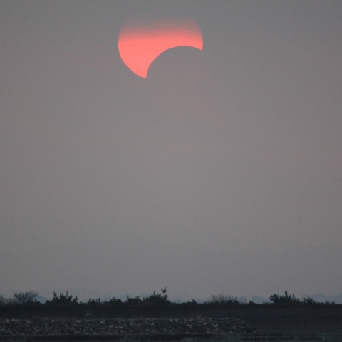 真玉海岸の部分日食