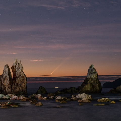 紫金山・アトラス彗星