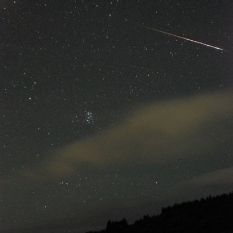 2010ペルセウス座流星群