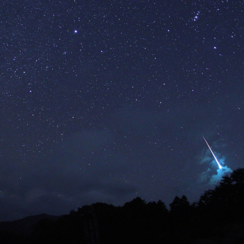 しし座流星群かなっ