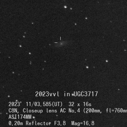 超新星2023vvl(UGC3717)