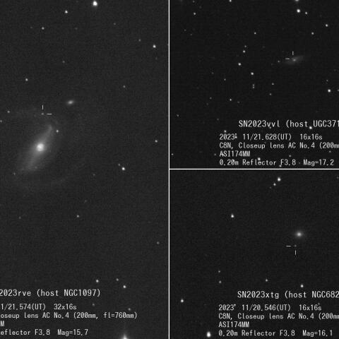 超新星2023rve、2023vvl、2023xtg