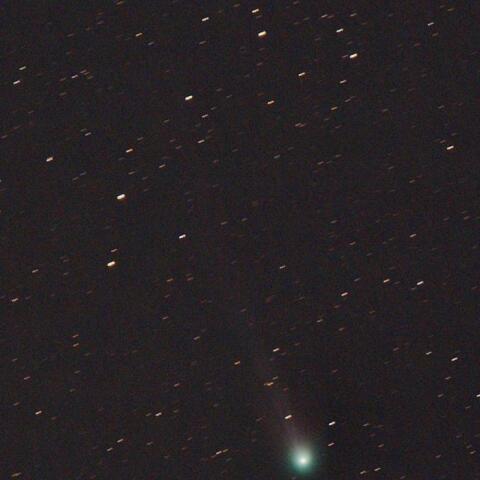 3/10のポンス・ブルックス彗星(12P)