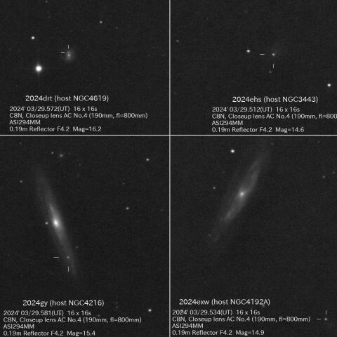 3/29の明るい超新星4つ