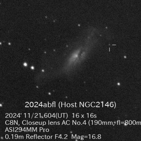 超新星2024abfl（Host NGC2146）