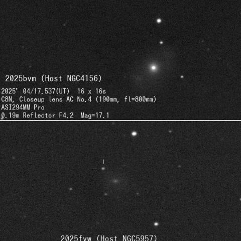 超新星2025bvmと2025fvw