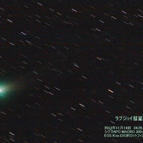 11/14朝のラブジョイ彗星(C/2013R1)
