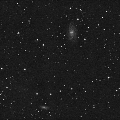 NGC2336