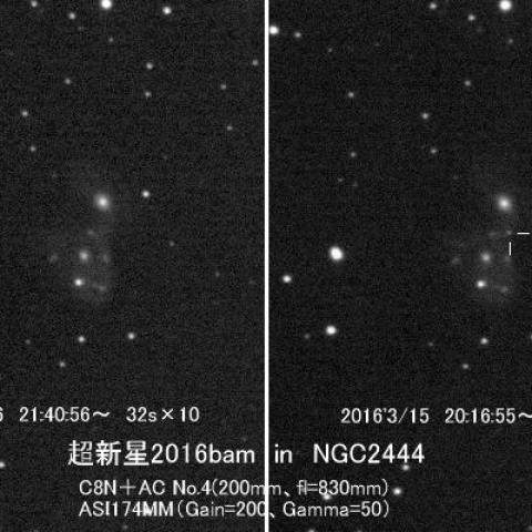 超新星2016bam in NGC2444