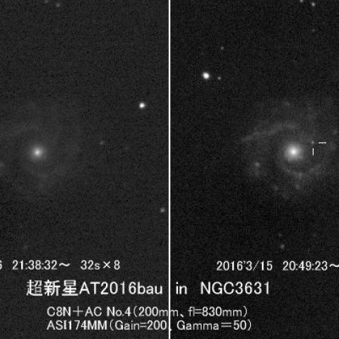超新星2016bau in NGC3631