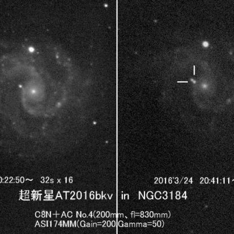 超新星2016bkv（NGC3184）
