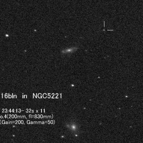 超新星2016bln in NGC5221