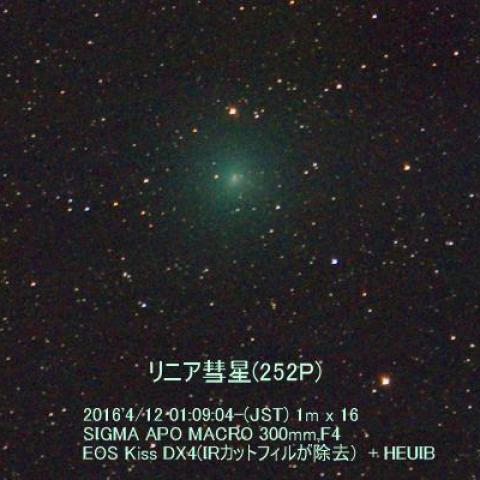 4/11のリニア彗星(252P)