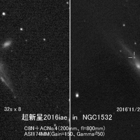 超新星2016iae in NGC1532