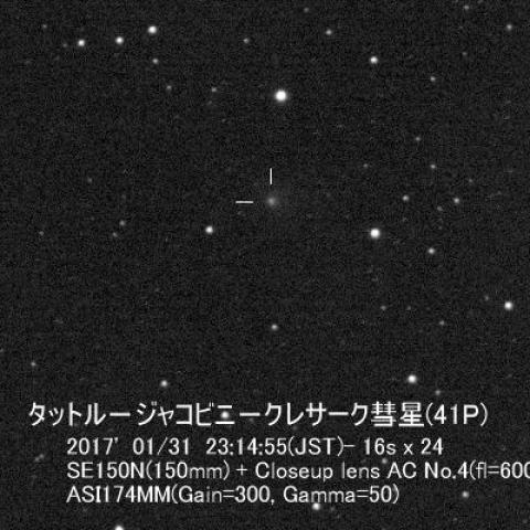 1/31：41P（タットル－ジャコビニ－クレサーク彗星）
