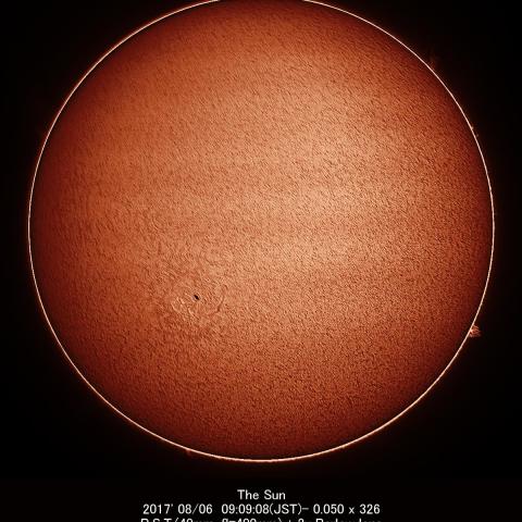 8/6の太陽