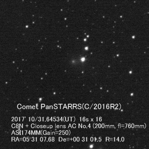 10/31のパンスターズ彗星(C/2016R2)