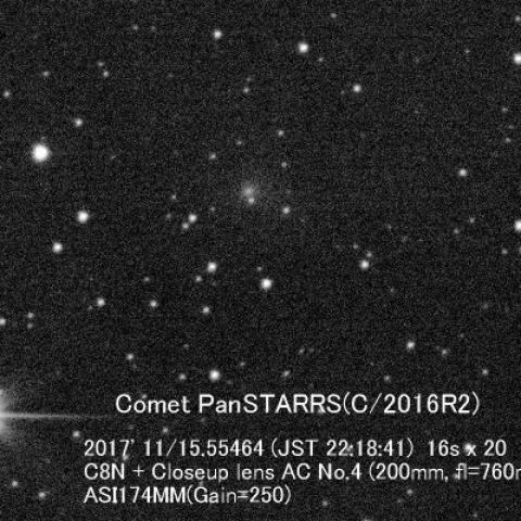 11/15のパンスターズ彗星（C/2016R2）