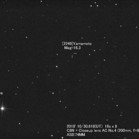 小惑星YamamotoとHasegawa
