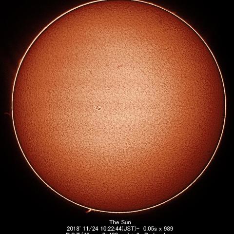 11/24の太陽