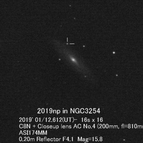 超新星2019np(NGC3254)
