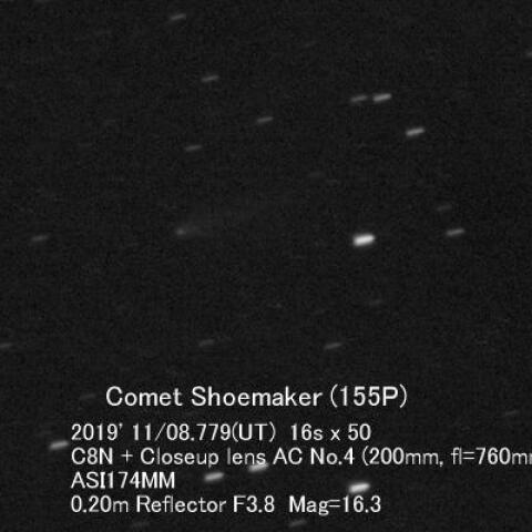 11/9のシューメーカー第3彗星(155P)