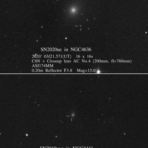 超新星2019yvqと2020ue