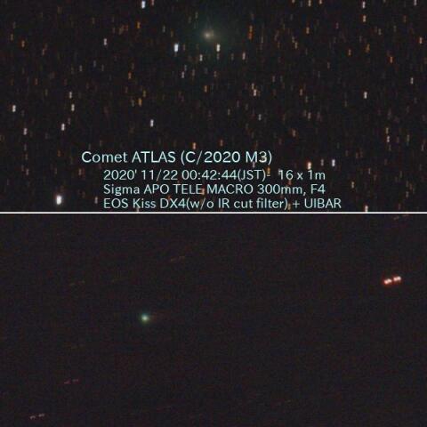 11/22のアトラス彗星とエラスムス彗星