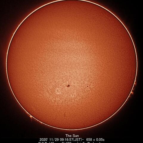 11/29の太陽