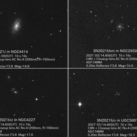 3/14に撮影した超新星4つ
