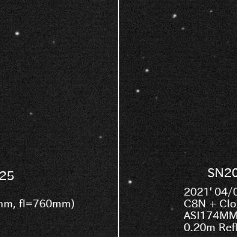 4/2に撮影した超新星2つ