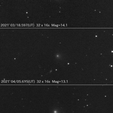 パロマ彗星(C/2020 T2)の光度変化