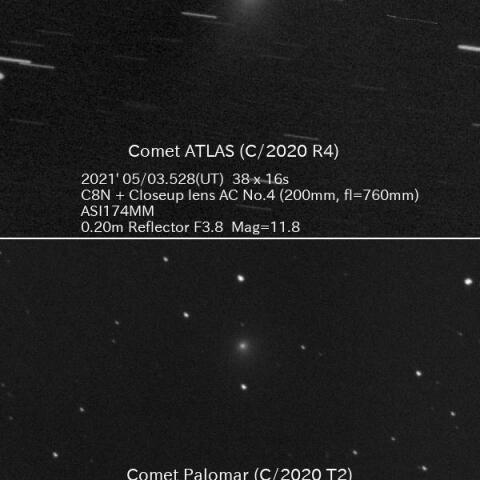 アトラス彗星(C/2020 R4)とパロマ彗星(C/2020 T2)