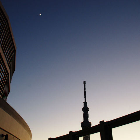 東京スカイツリーと月