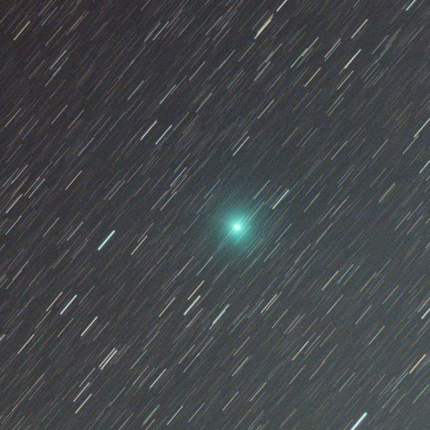 11月14日のレモン彗星