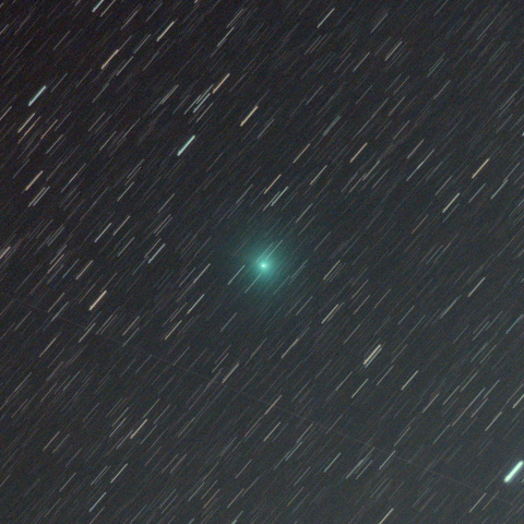 11月15日のレモン彗星