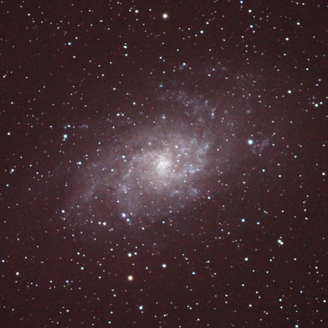 M33