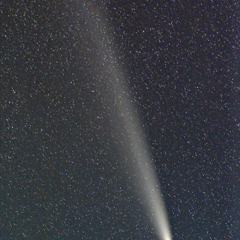 10月23日の紫金山アトラス彗星