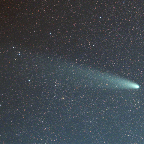 11月7日の紫金山アトラス彗星