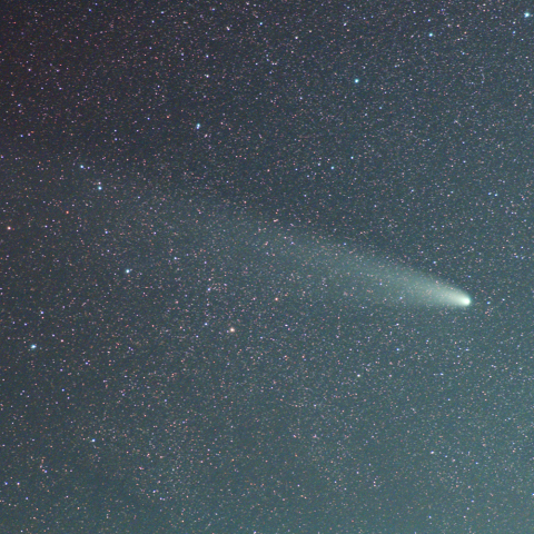 11月7日の紫金山アトラス彗星その2