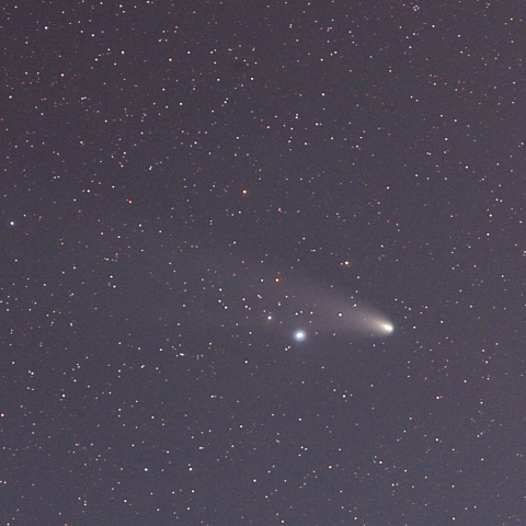 11月22日の紫金山アトラス彗星