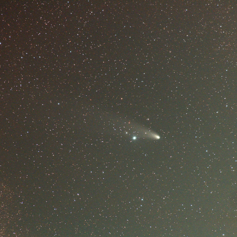 11月22日の紫金山アトラス彗星その2