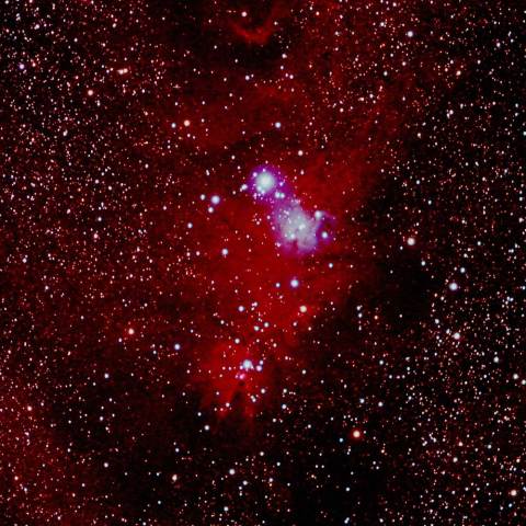 クリスマスツリー星団（コーン星雲）