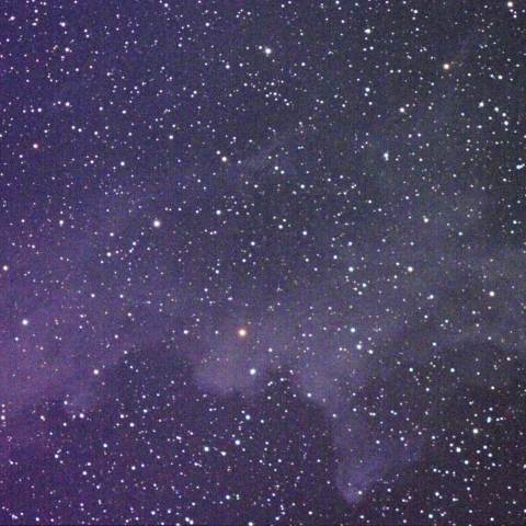 魔女の横顔星雲