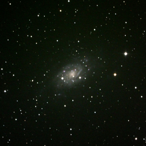 きりん座の銀河NGC2403