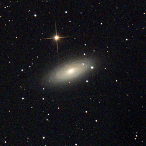 おおぐま座のNGC2841