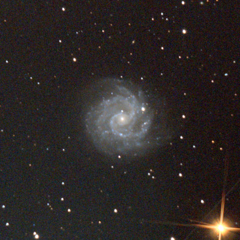 おおぐま座のNGC3184
