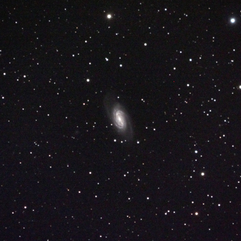 しし座の銀河NGC2903