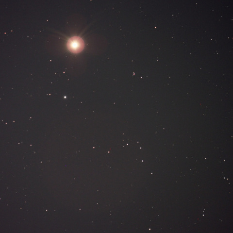 アルクトゥールスさん、ナポレオンのあの帽子どうしたでせうね